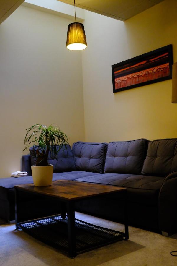 קרקוב City Apartment Getta מראה חיצוני תמונה